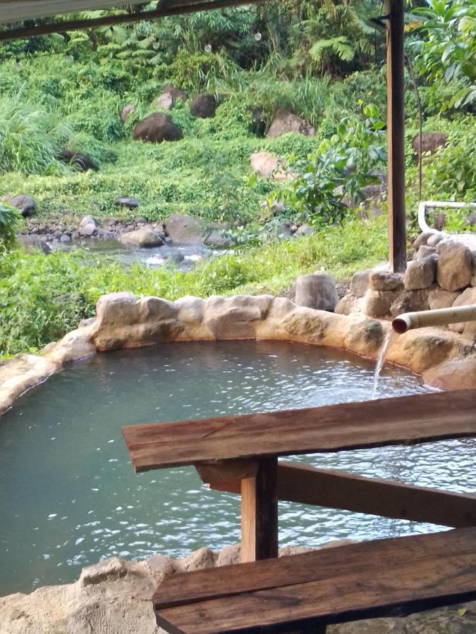 Natty Tropical Valley Roseau Ngoại thất bức ảnh