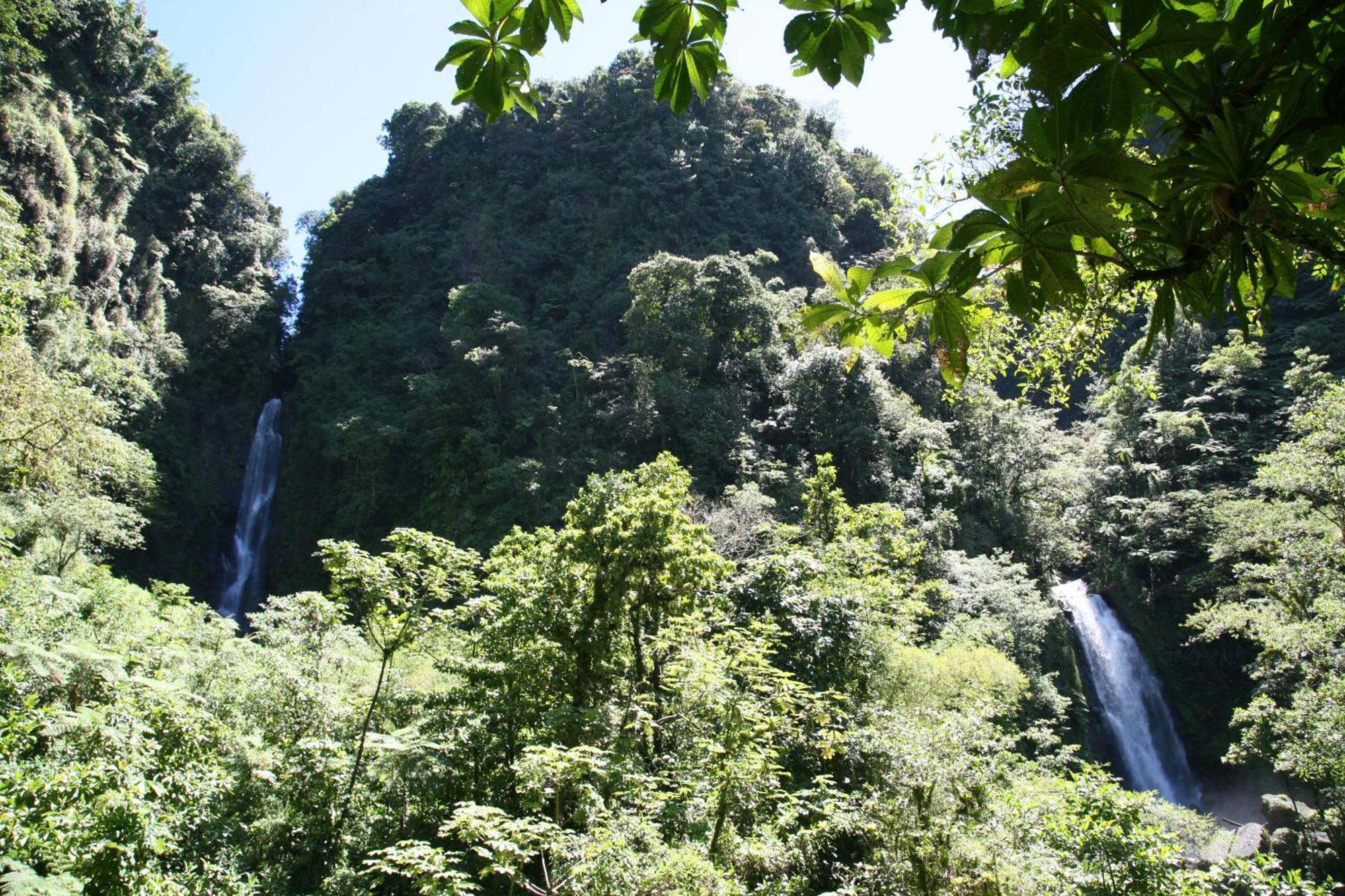 Natty Tropical Valley Roseau Ngoại thất bức ảnh