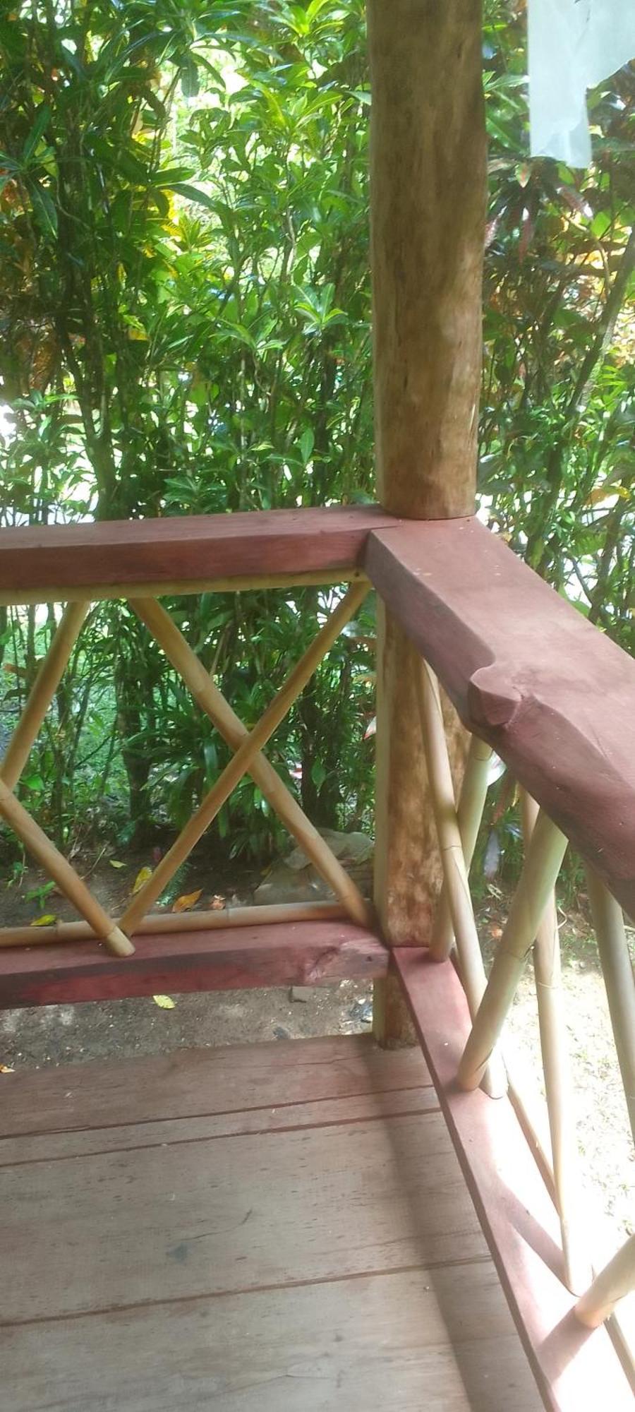 Natty Tropical Valley Roseau Ngoại thất bức ảnh