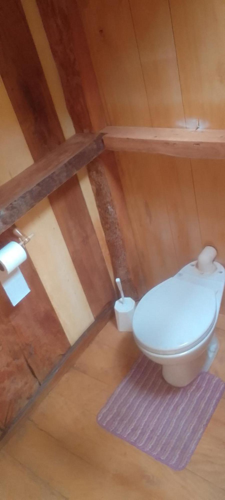 Natty Tropical Valley Roseau Ngoại thất bức ảnh