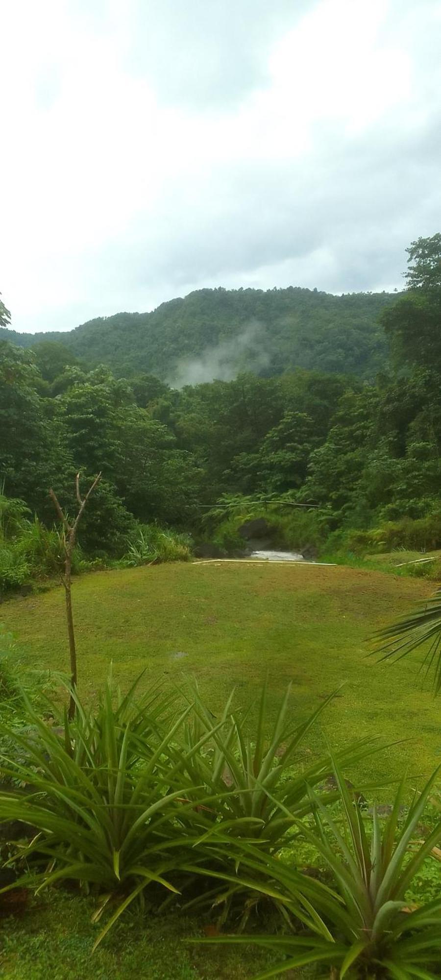 Natty Tropical Valley Roseau Ngoại thất bức ảnh