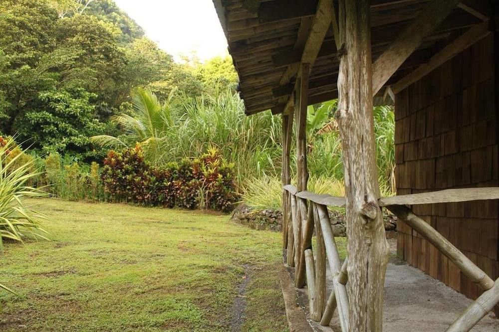 Natty Tropical Valley Roseau Ngoại thất bức ảnh
