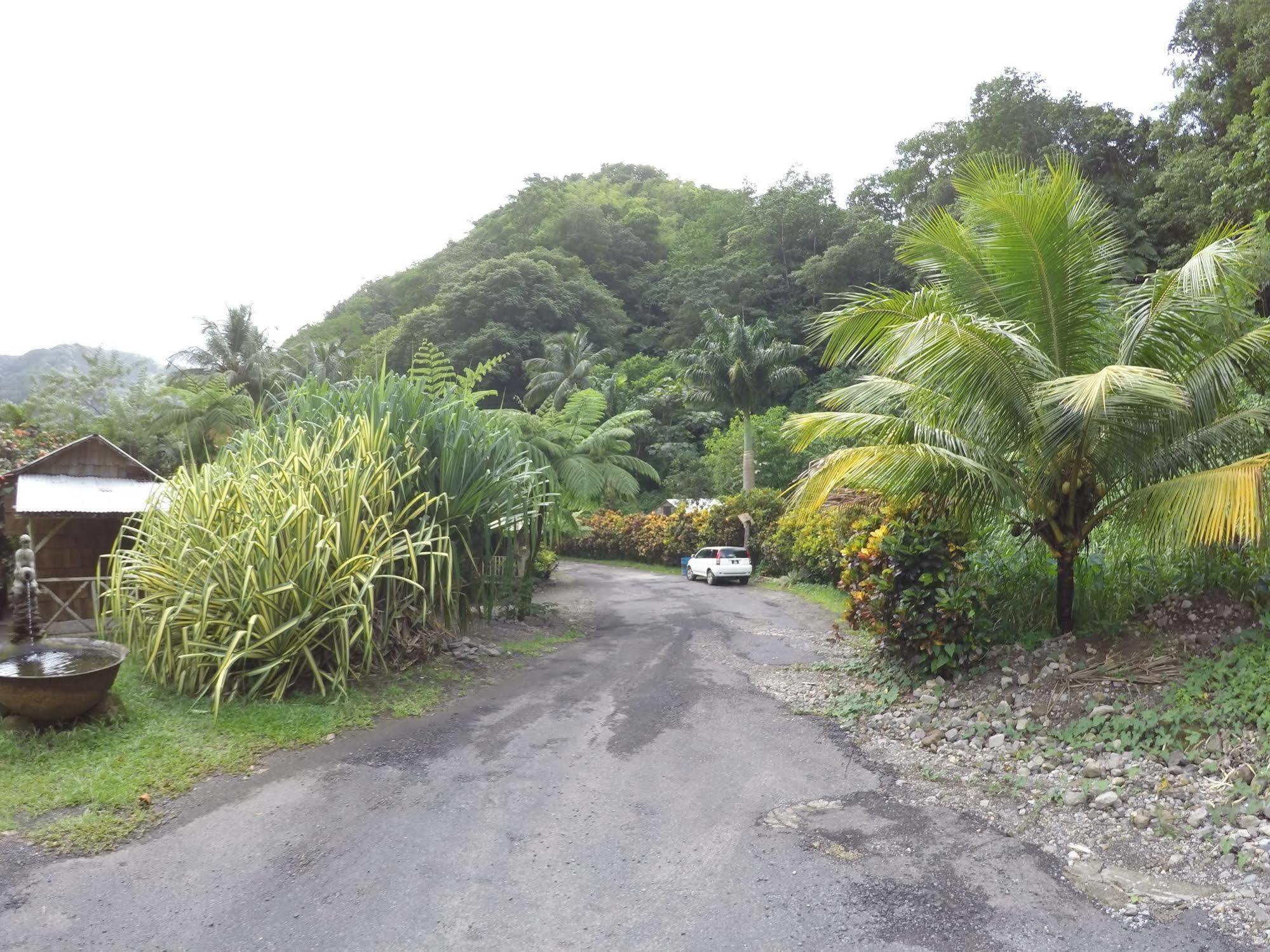 Natty Tropical Valley Roseau Ngoại thất bức ảnh