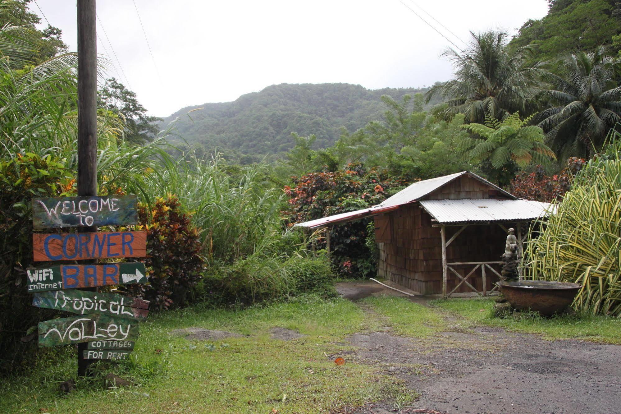 Natty Tropical Valley Roseau Ngoại thất bức ảnh